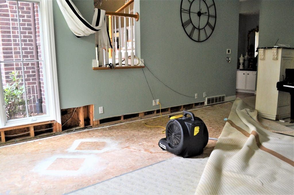 Water Mitigation