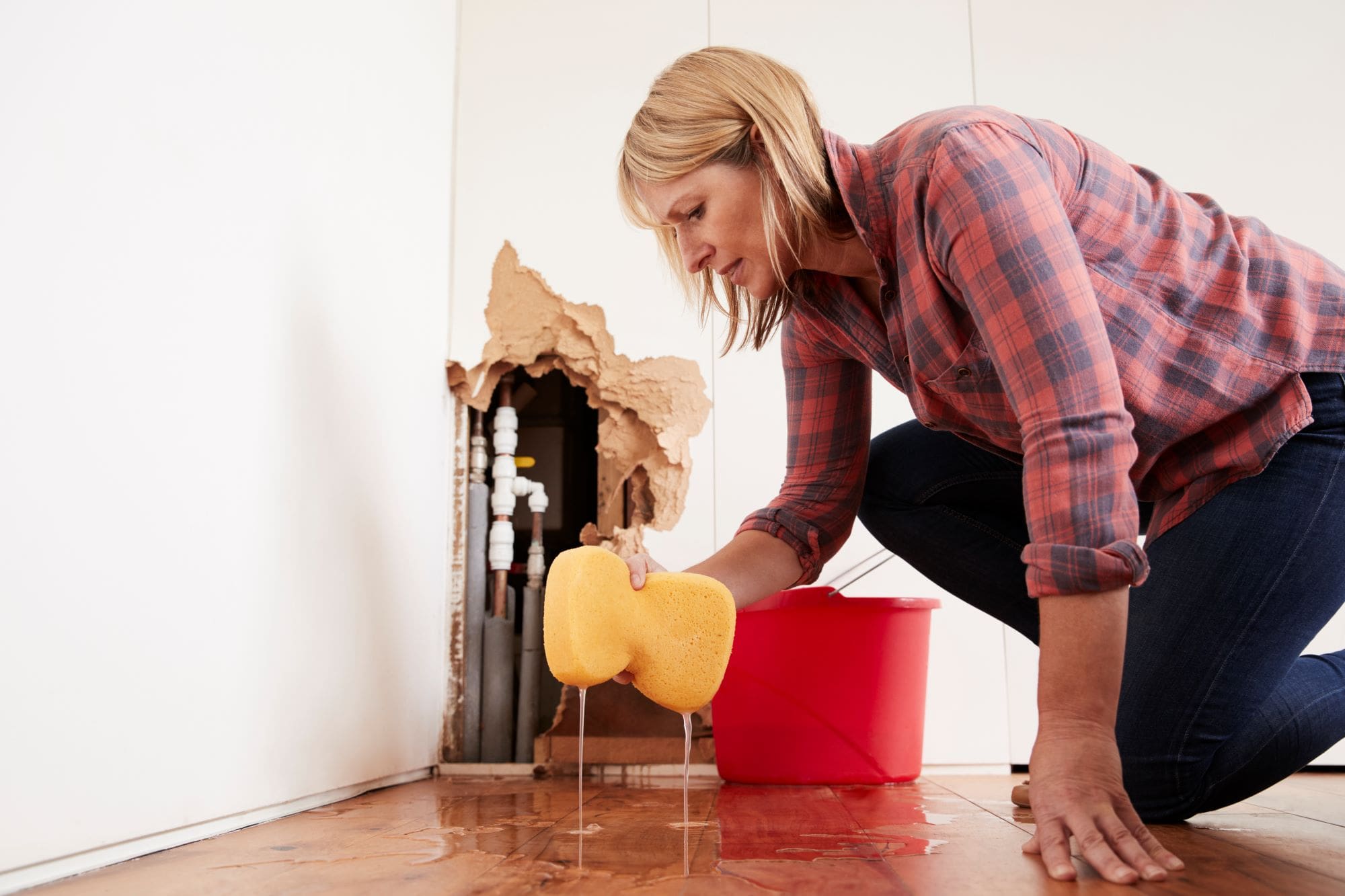 Water Mitigation