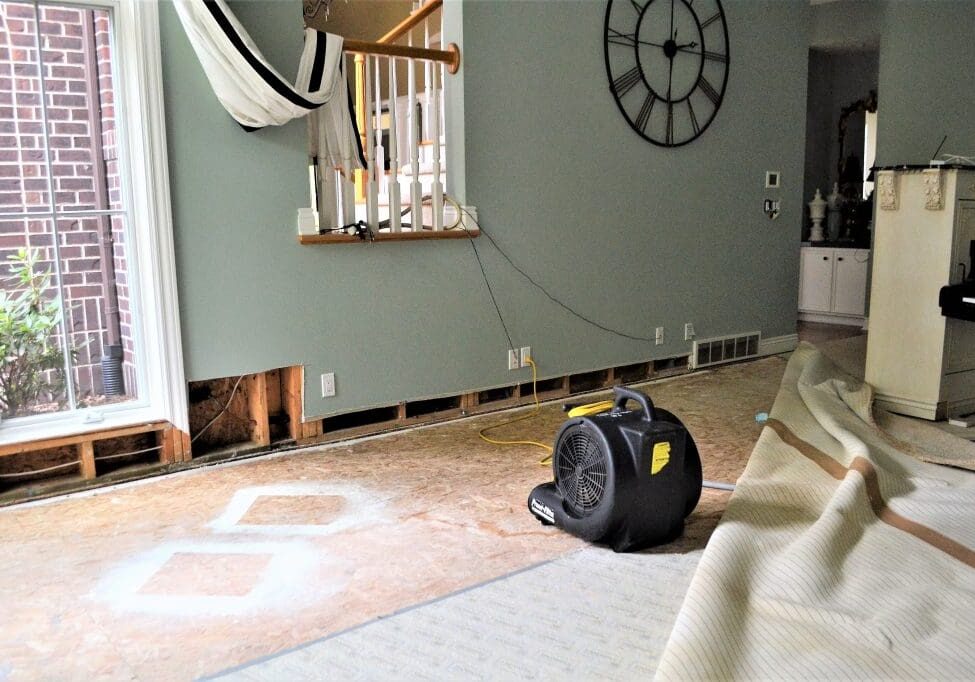 Water Mitigation