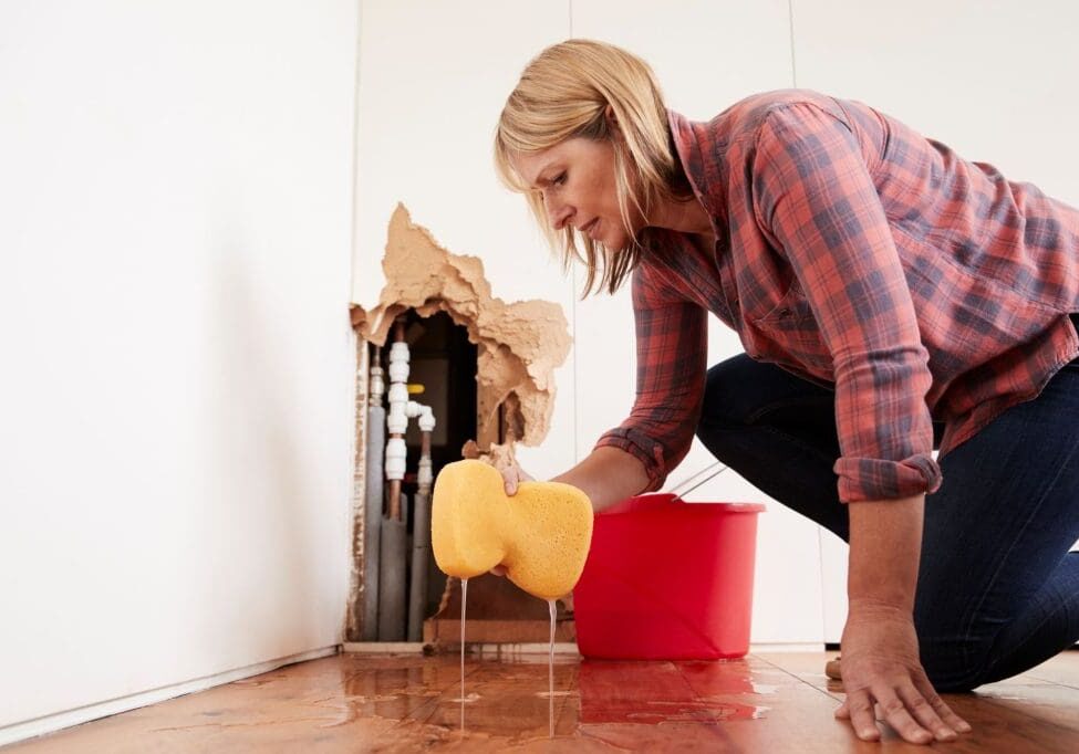 Water Mitigation